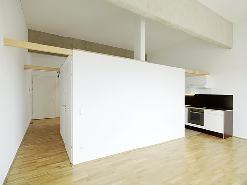 Loft 393                Schwanenstadt 2013