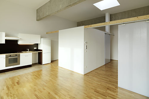 Loft 393                Schwanenstadt 2013