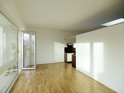 Loft 393                Schwanenstadt 2013