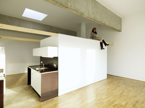 Loft 393                Schwanenstadt 2013